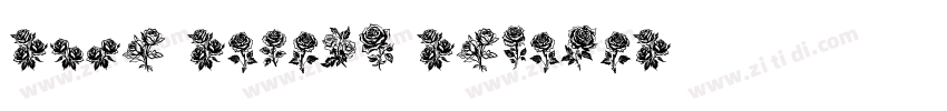 rose ruzaiq Regular字体转换
